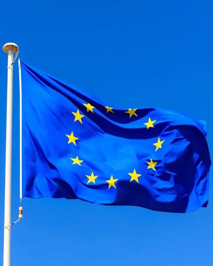 European Union EU Flag 90_150cm Euro Flag of Europe super polyester Council of Euro flag e1750285615606